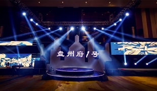 盤(pán)州府1號(hào)品鑒會(huì)，盤(pán)州的全新人居名片
